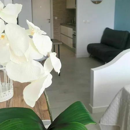 Estudio Ally Apartment *